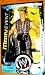 Jakks Pacific WWE Limited Internet Exclusive Shawn Michaels Main Event Figure