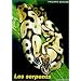 Les serpents : d�couverte et �levage