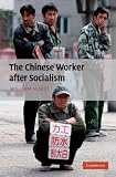 The Chinese Worker after Socialism