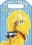 Fly Away with Big Bird (Color and Carry)