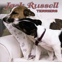 Jack Russell Terriers Wall Calendar: 2004