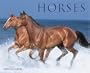 Just Horses 2008 Calendar