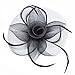 Fascinator on Hairclip for Women Mesh Feather Black