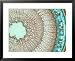 X-Section of Young Paw Paw Stem, a Monocot Framed Art Poster Print by David M. Dennis...