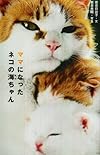 ママになったネコの海ちゃん (私の生き方文庫)