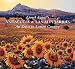 Lionel Aggett's Andalucia and Las Alpujarras: An Artist in Lemon Country at Amazon Books: 51HBtegeVpL._SL75_