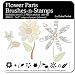 Photoshop Brushes - Flower Parts Brushes and Stamps