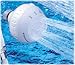 Health & Personal Care : Waterpik SM421 The Orginal Shower Massage Showerhead - White