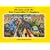 Thomas and the Fat Controller's Engines (Railway)