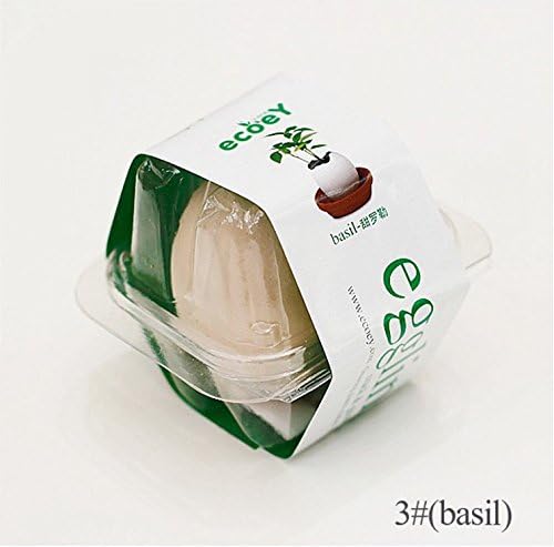 Egglings ! Egg Hatches Plant Egg-shaped Pot Plant Plants in an Eggshell 3pcs/set Green Color