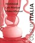 Workbook/lab Manual/video Manual: Used with ...Merlonghi-Oggi in Italia