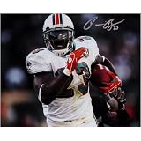 Ronnie Brown Miami Dolphins -Horizontal- 8x10 Autographed Photograph