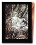La Graine de folie, coffret 5 volumes