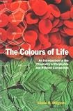 The Colours of Life: Introduction to the Chemistry of Porphyrins and Related Compounds