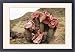 Framed Prints of HOODIA gordonii - in flower from Ardea Wildlife Pets