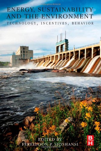 Energy, Sustainability and the Environment: Technology, Incentives, Behavior