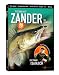 Fischen auf Zander im Sommer