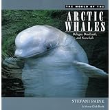 the world of the arctic whales belugas bowheads and narwhals