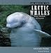 The World of the Arctic Whales: Belugas, Bowheads, and Narwhals