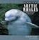 The World of the Arctic Whales