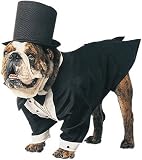 Top Dog Pet Costume- Xs