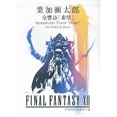 ヴァイオリン「FINAL FANTASY12」メインタイトル 葉加瀬太郎 交響詩「希望」 (バイオリンレパートリー)