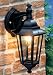 Kitchen & Housewares : Outdoor Wall Lantern