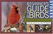 Stokes Beginner's Guide to Birds: Eastern Region (Stokes Field Guide Series)