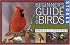 Stokes Beginner's Guide to Birds: Eastern Region (Stokes Field Guide Series)