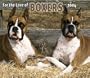 For the Love of Boxers Deluxe 2004 Calendar