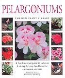 Pelargoniums (New Plant Library)
