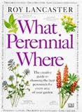 What Perennial Where