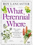 What perennial where?