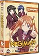 Negima!? The Complete Series 2  Re-Imagined [DVD]