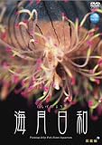 海月日和 図鑑編 [DVD]