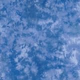 Electronics : Lastolite Curtain Background - Florida 3 x 3.5 m ( 10'x12')