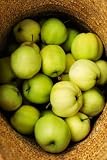 Green Apples in a Straw Hat - 24