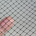 Plastic Butterfly Netting - 2.6 metres wide