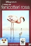 Mistero Dei Fenicotteri Rosa (Il)