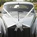 White Car Decoration Pack