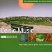 The Rough Guide to Celtic Music