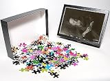 Photo Jigsaw Puzzle of Josef Breuer 1923 from Mary Evans