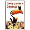 Guinness toucan Poster Print, 24x36