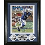 NFL Detroit Lions Ndamukong Suh?2010 Defensive?ROY 24KT Gold Coin Photo Mint