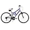 Women's Huffy Cyclone Mountain Bike - Blue/ Grey (26")