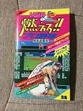 燃えろ!!プロ野球完全必勝本 (ファミコン必勝本・フライデースペシャル)