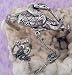 Pewter Medusa Snake Slave Bracelet