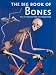 Book The Big Book of Bones