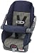 Baby : Evenflo Tribute Overhead Shield Car Seat Small Bridgeport