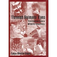 Through Animals' Eyes: True Stories from a Wildlife Sanctuary